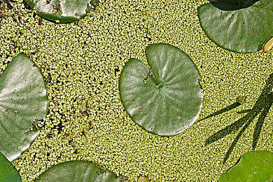 SE：《最终幻想10》系列出货量超2080万套