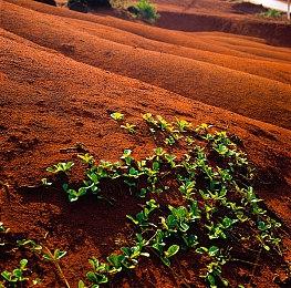 《炽焰之帆》Steam正式推出 好评航海竞技游戏