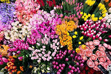 R星收购《GTA：三部曲-终极版》手游版开发商Video Games Deluxe